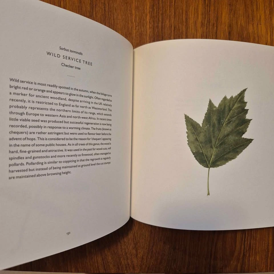 "Overleaf" by Richard & Susan Ogilvy - photo 2
