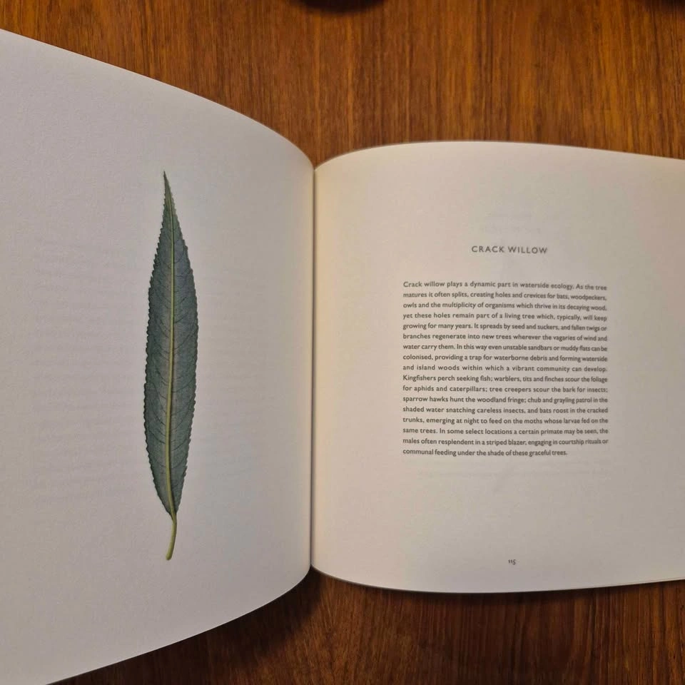 "Overleaf" by Richard & Susan Ogilvy - photo 3