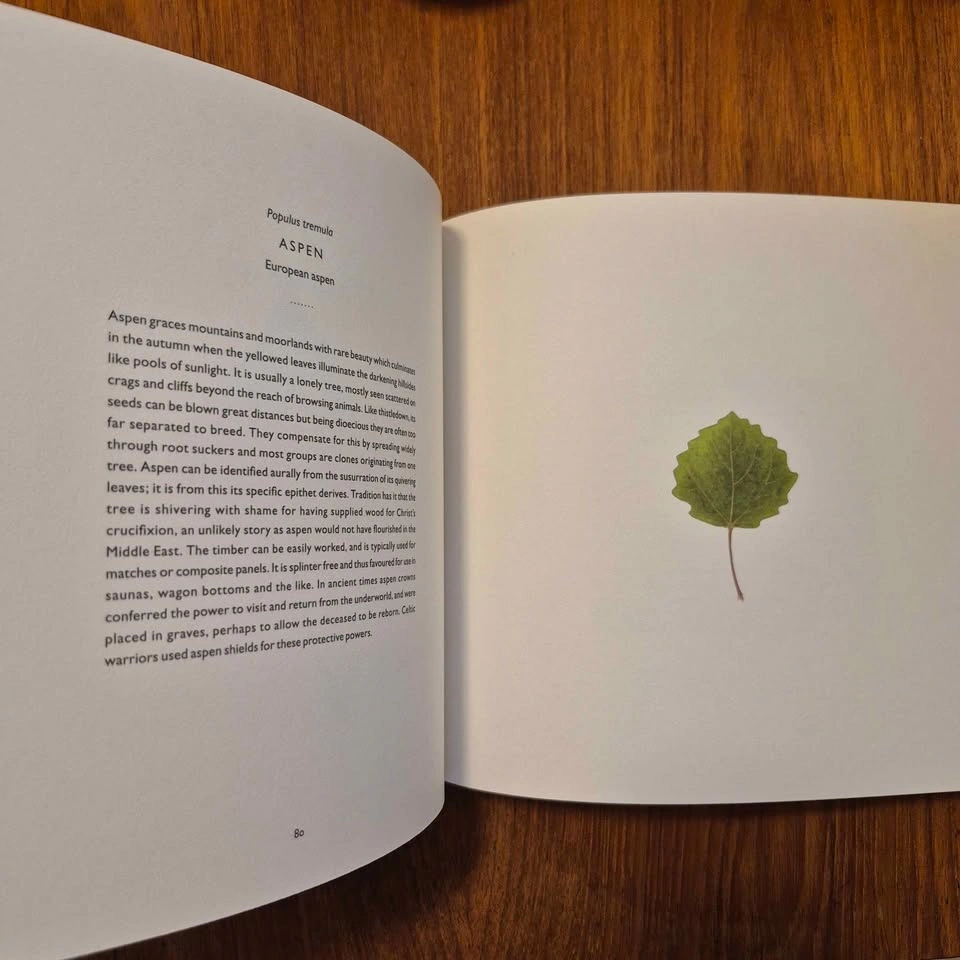 "Overleaf" by Richard & Susan Ogilvy - photo 4