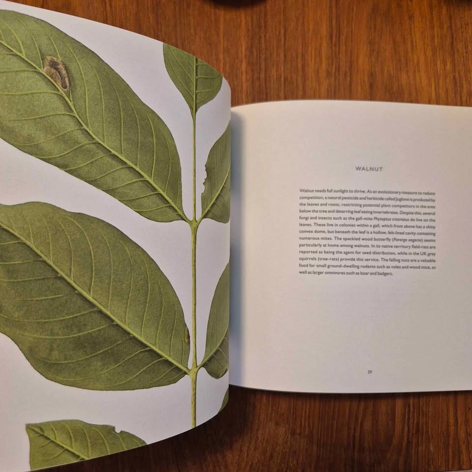 "Overleaf" by Richard & Susan Ogilvy - photo 5