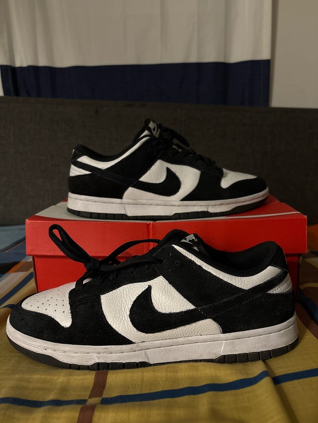 kind of used panda dunks