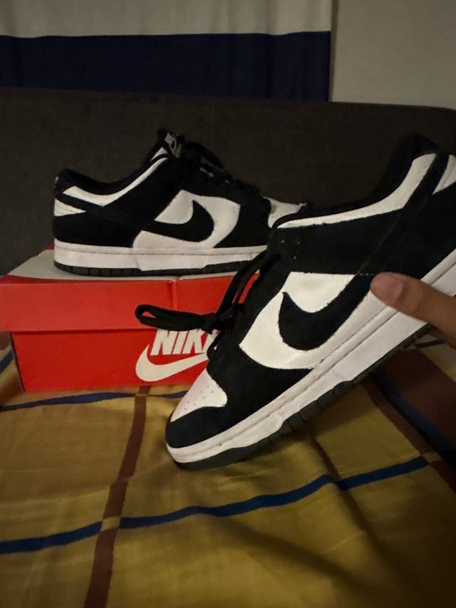 kind of used panda dunks - photo 2