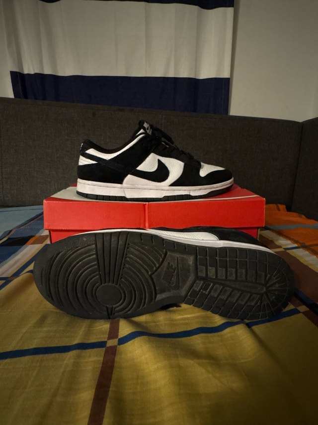 kind of used panda dunks - photo 3