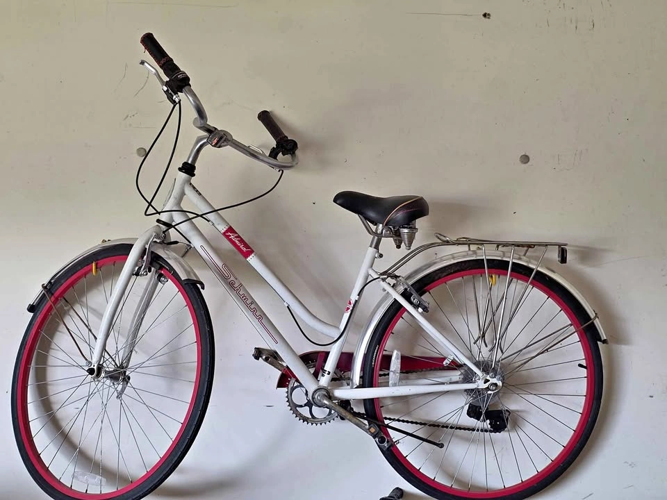 Schwinn Admiral 28” 7-Speed Touring Bike