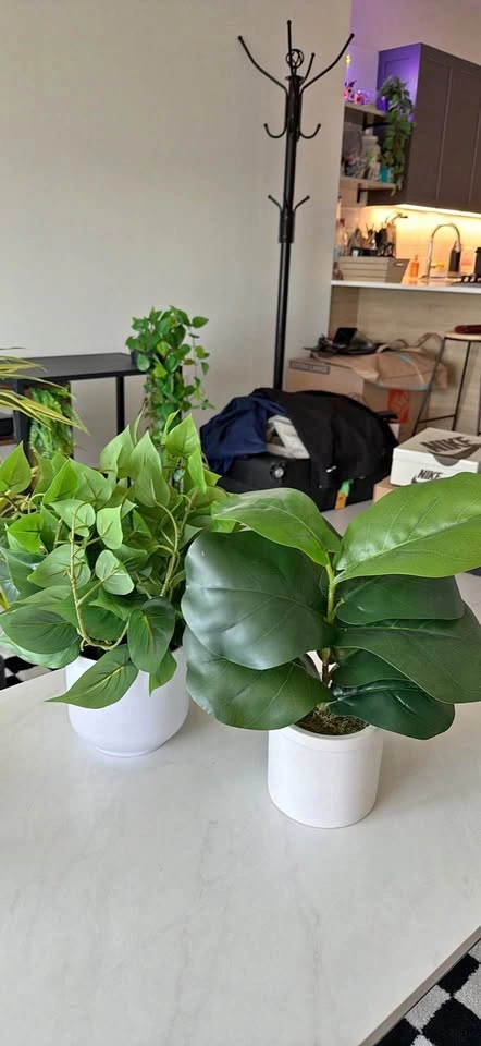 Medium planter