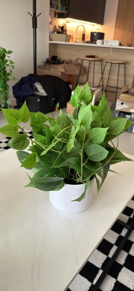 Medium planter - photo 3