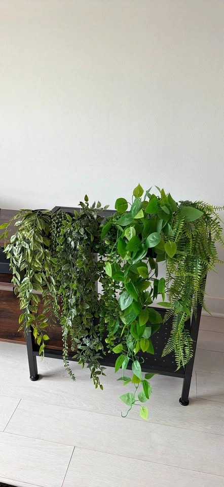 Planters $5 ea