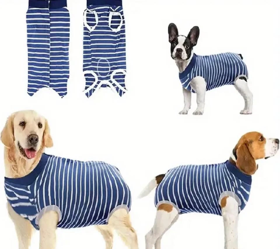 Dog recovery suit