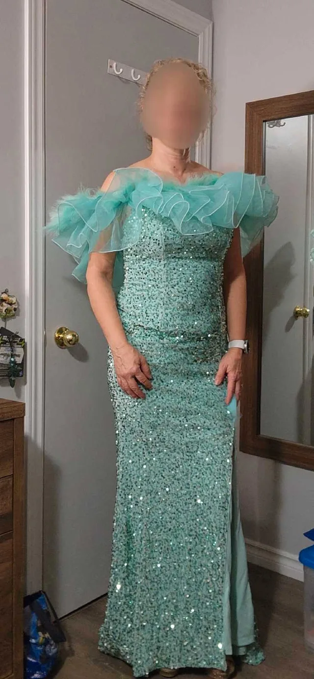 Sequin Formal Dress image indicator(5)