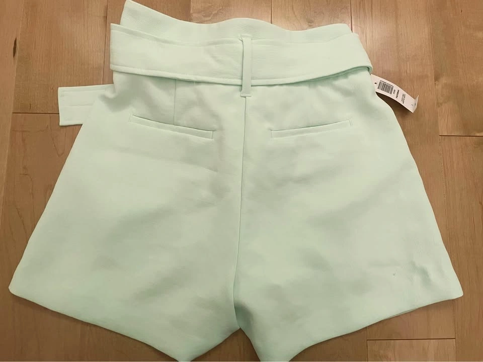 aritzia paper bag shorts size 0 - photo 2