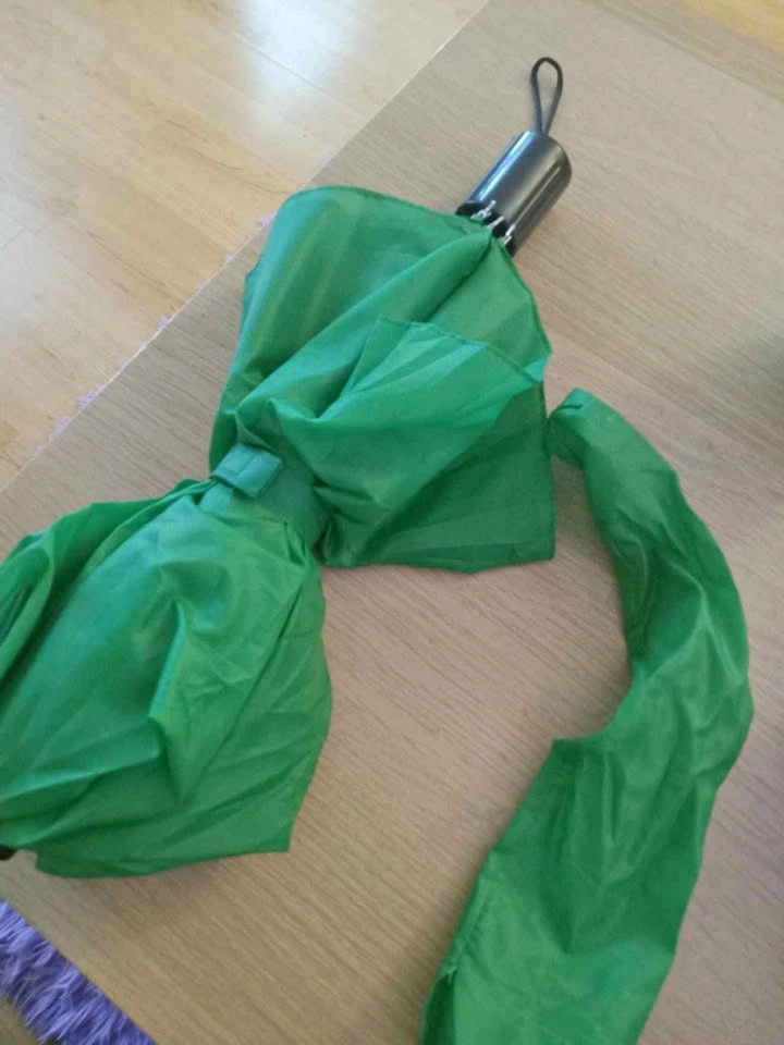 Compact Green Umbrella with Sleeve