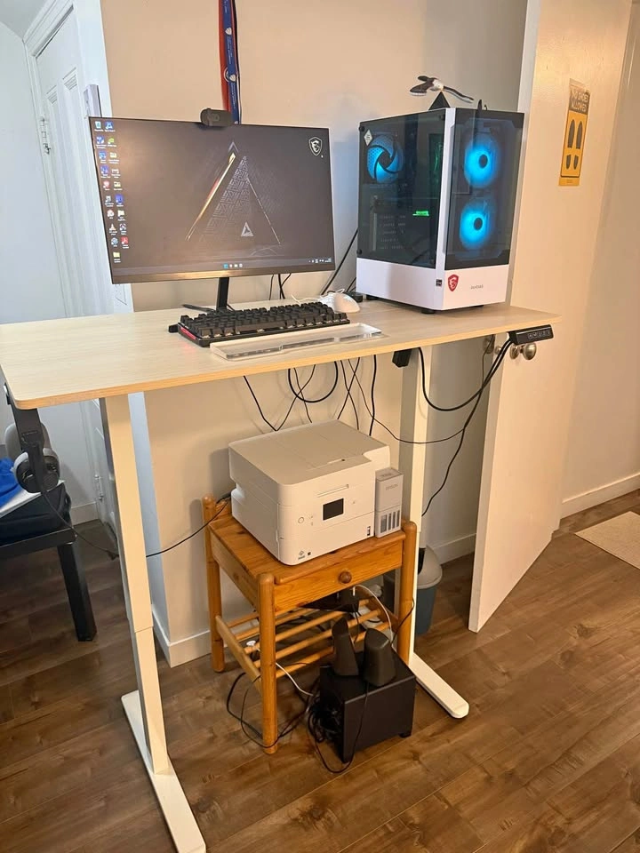 Electric Standing Desk