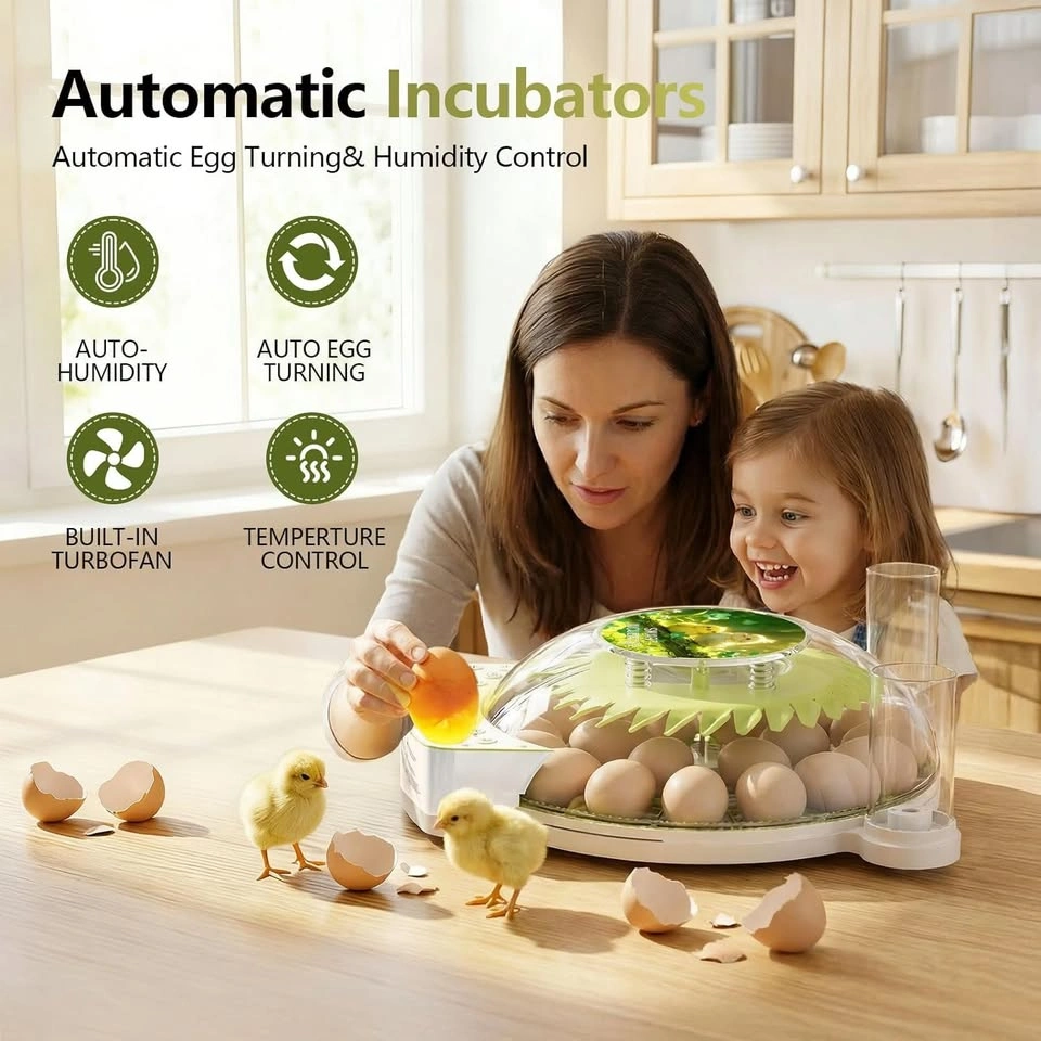 22 Egg Incubator for Hatching Eggs, 2026 Upgraded 360° View - photo 2