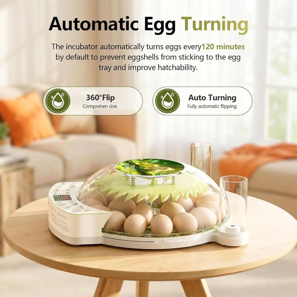 22 Egg Incubator for Hatching Eggs, 2026 Upgraded 360° View - photo 5