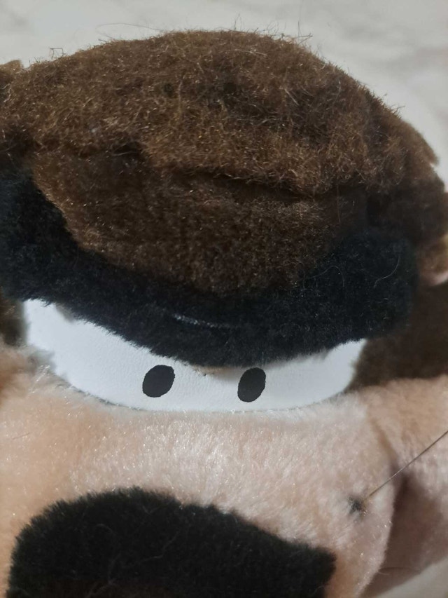 1998 Ace Taz Plush - photo 2