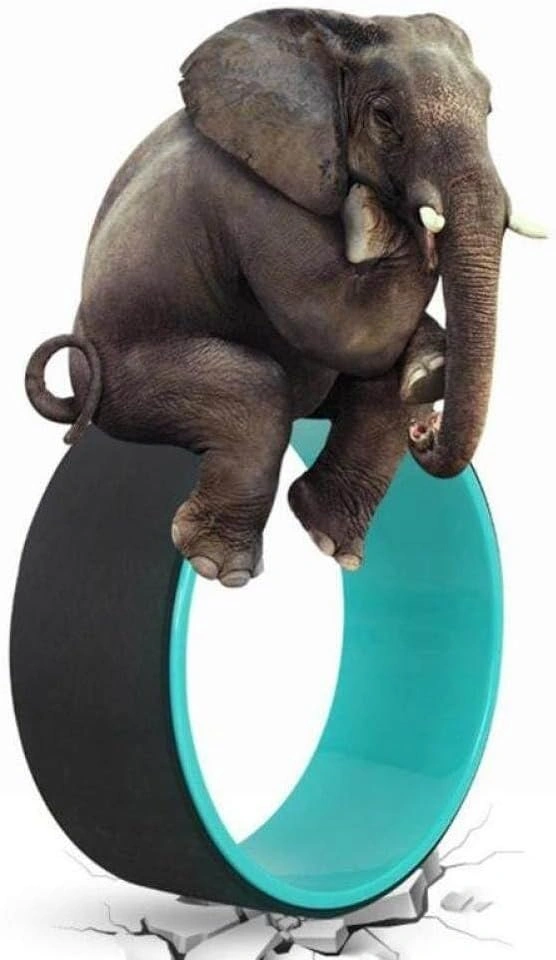 Yoga Wheel for Back Pain - 12.6" X 4.72" - Brand New - photo 5