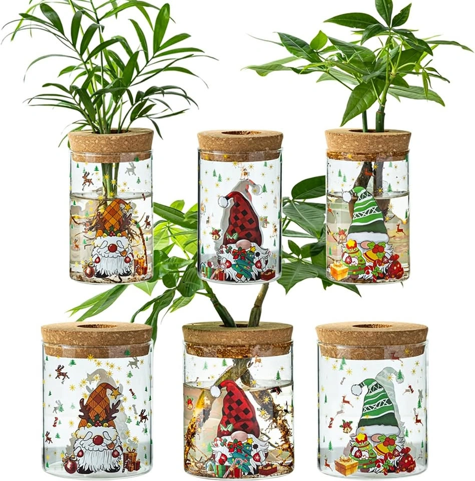 Christmas Themed Glass Propagation Vases (Set of 6)