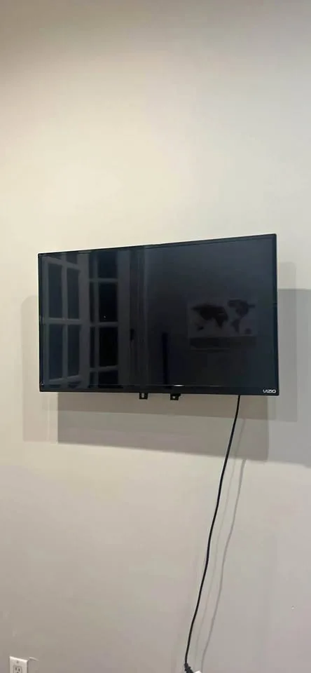 VIZIO 28.5” x 17” Smart TV thumbnail