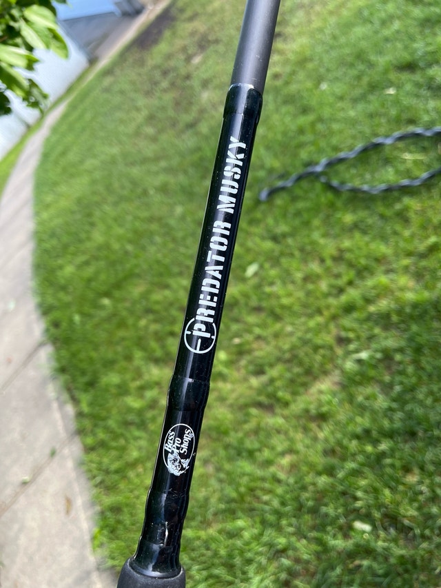 casting rod - photo 2