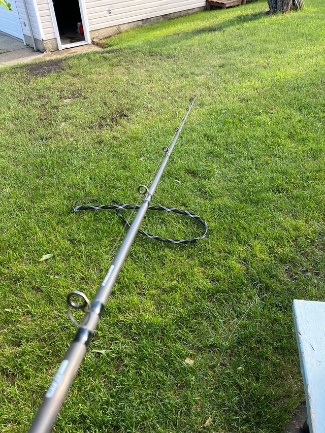 casting rod - photo 4