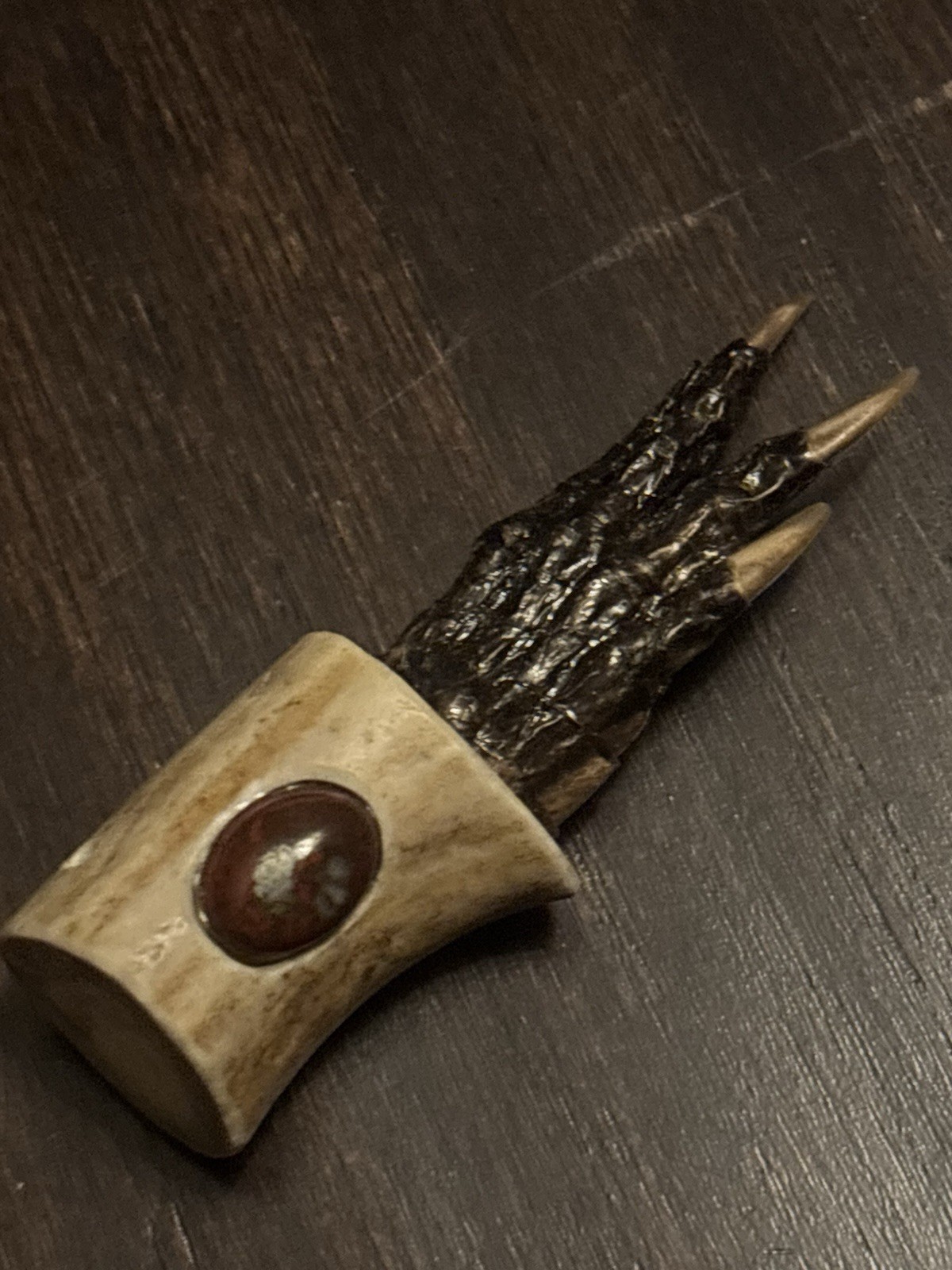 Alligator Claw In Bone (small!)