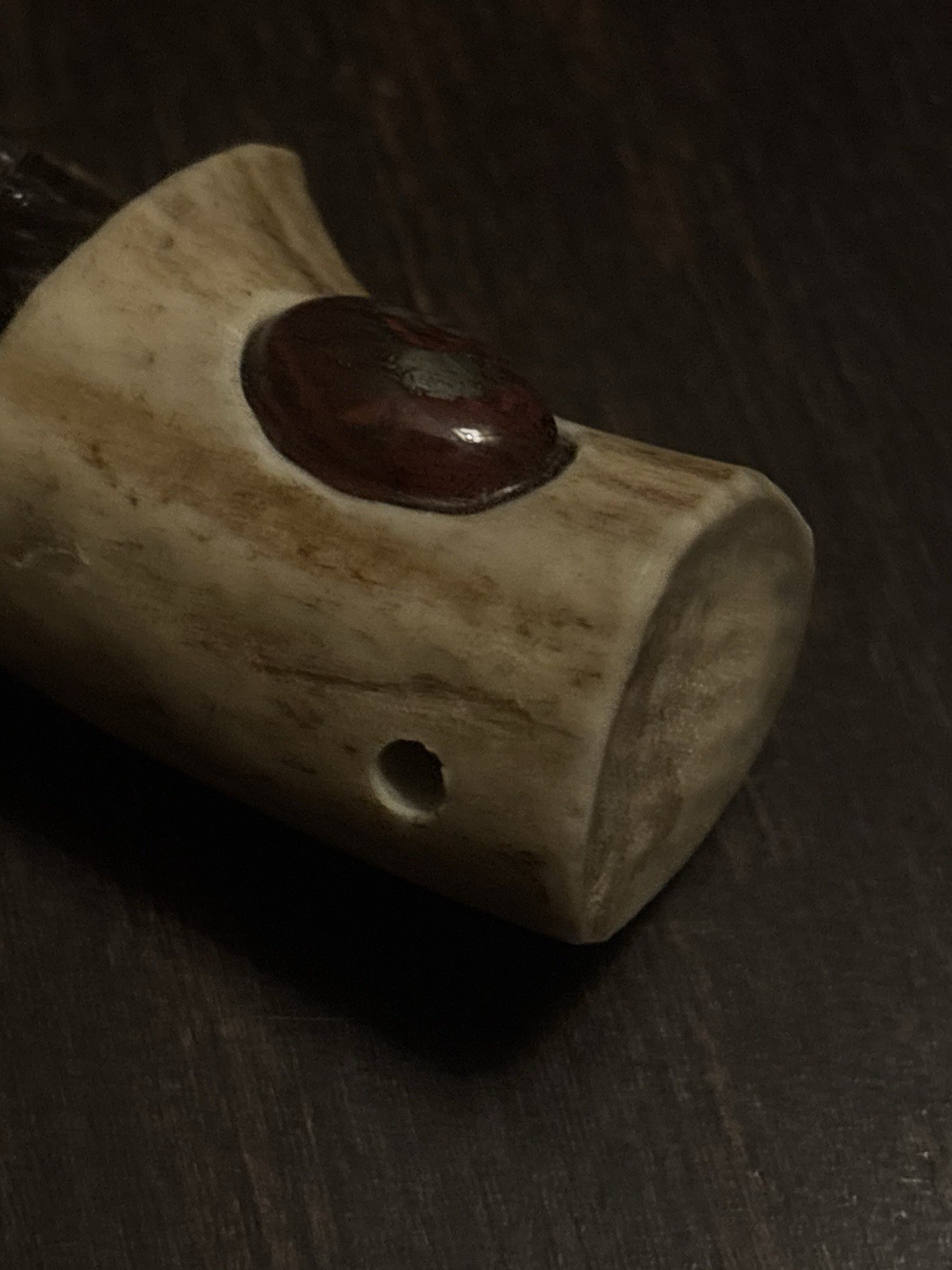 Alligator Claw In Bone (small!) - photo 2