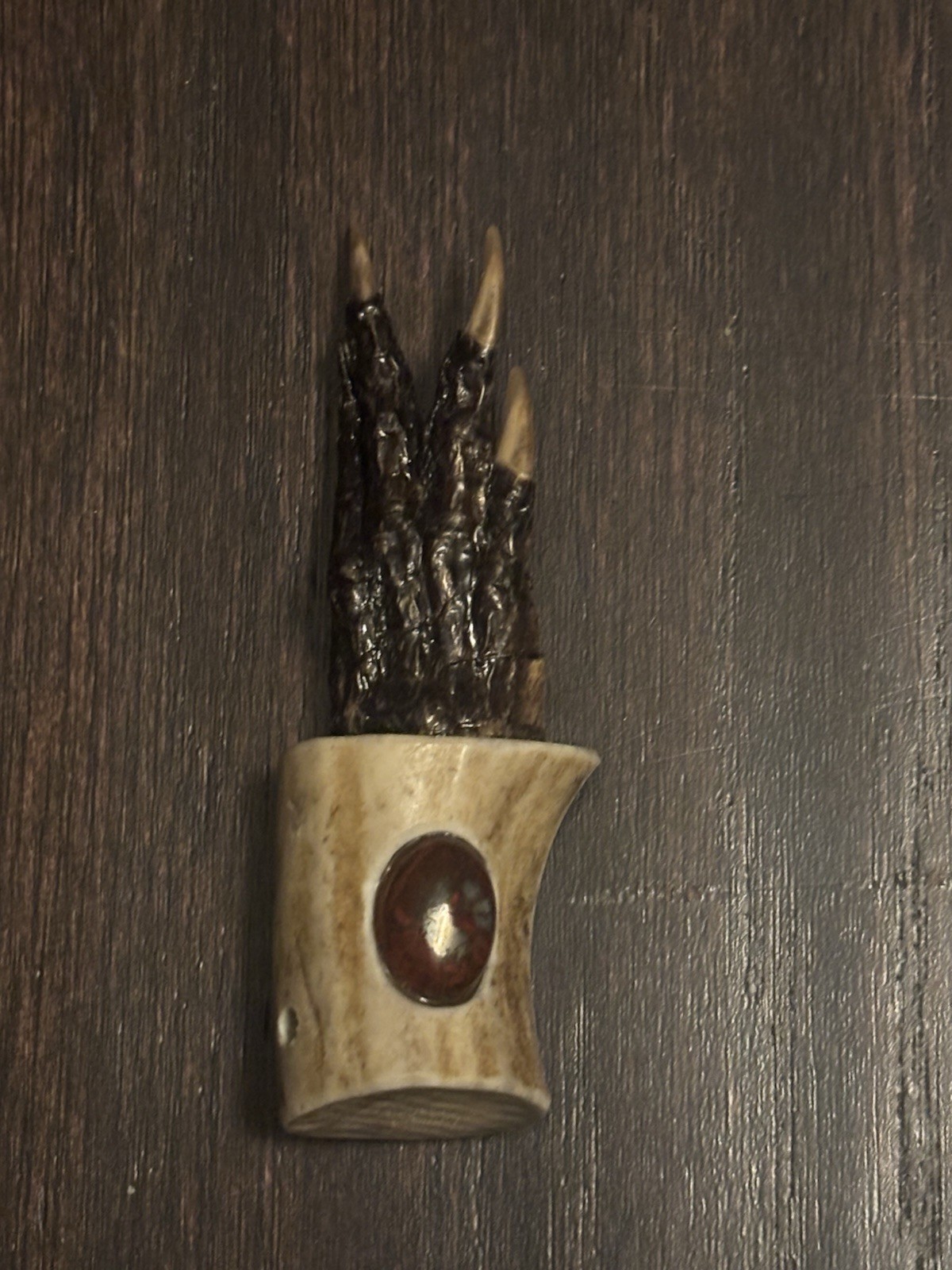 Alligator Claw In Bone (small!) - photo 4