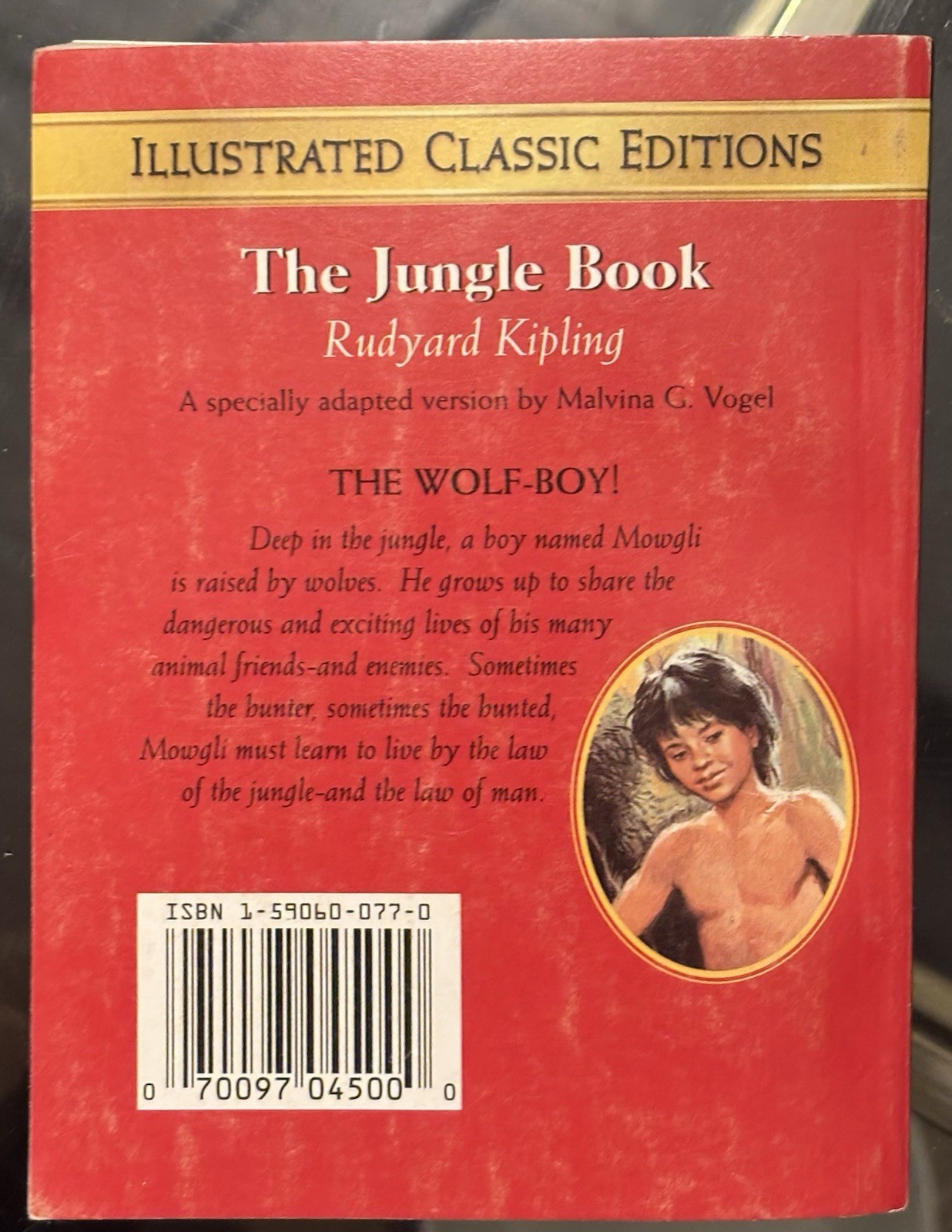 The Jungle Book (The Illustrated Classic Editions) [Paperback] - photo 2
