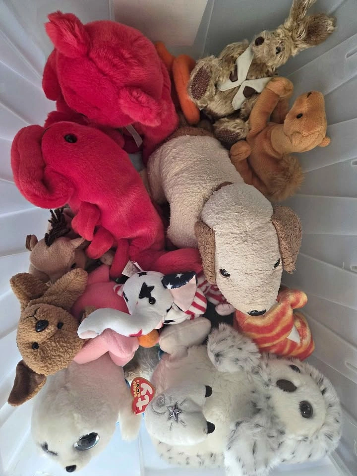 30 pcs lot TY plush toy