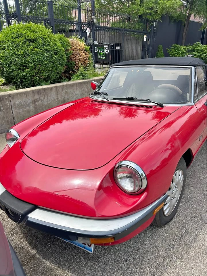 Vintage 1988 Alfa Romeo Spyder Graduate