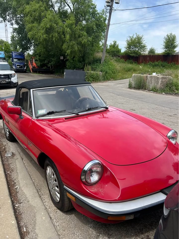 Vintage 1988 Alfa Romeo Spyder Graduate - photo 2