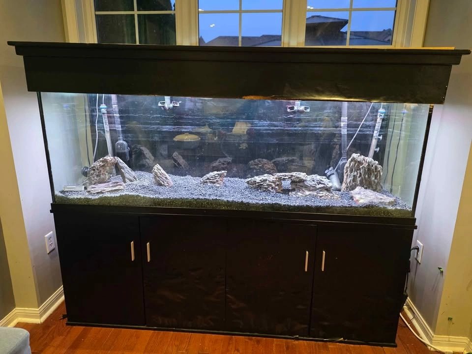 135 Gallon Seapora Aquarium (No Fish) - photo 2