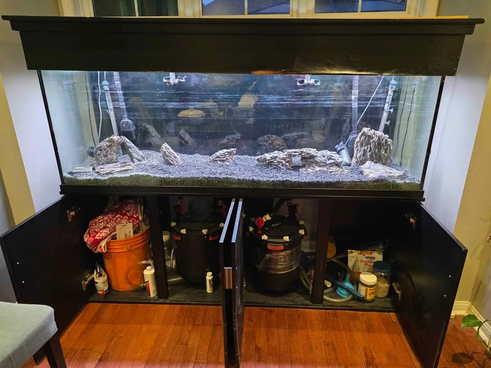 135 Gallon Seapora Aquarium (No Fish) - photo 3
