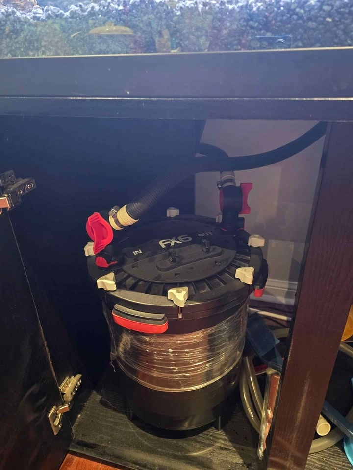 135 Gallon Seapora Aquarium (No Fish) - photo 4
