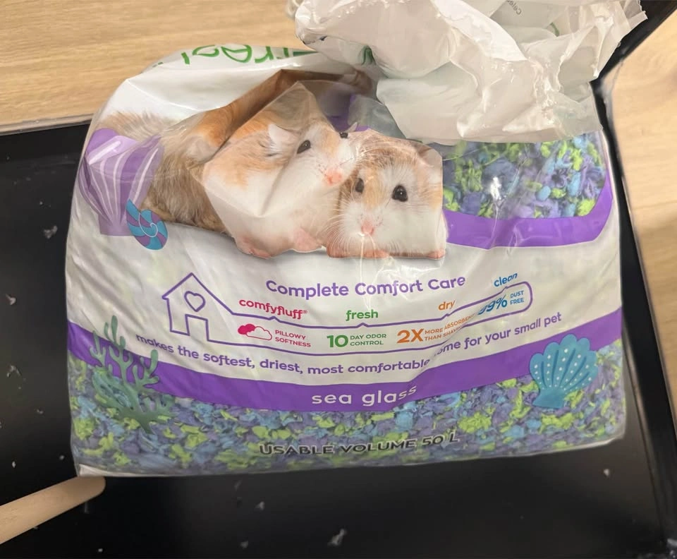 BRAND NEW Large Acrylic Hamster Enclosure & Starter Setup - photo 3