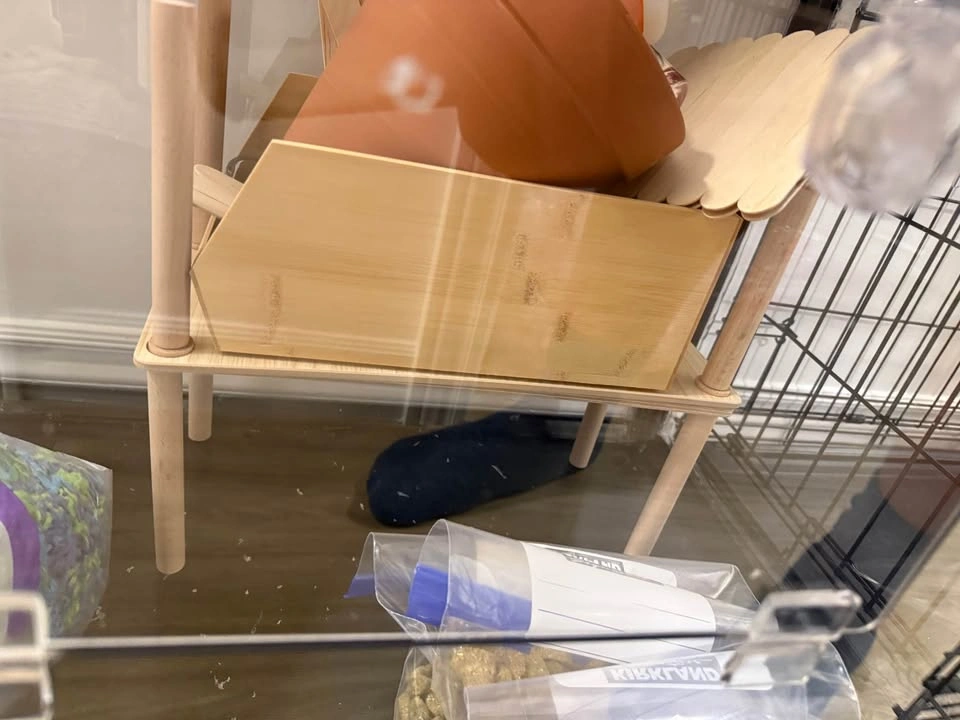 BRAND NEW Large Acrylic Hamster Enclosure & Starter Setup - photo 5