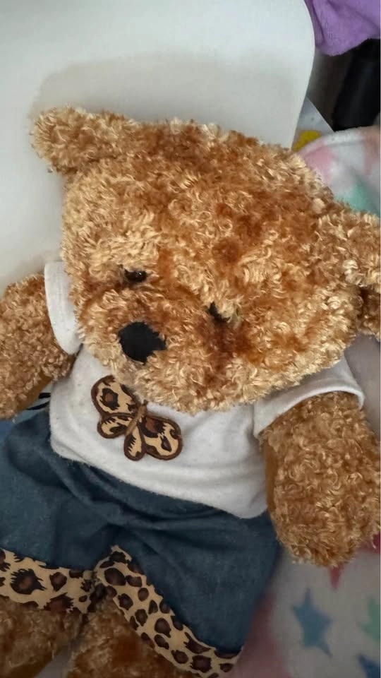 Bear Factory Brown Plush Teddy Bear Butterfly Shirt & Shorts, 20 - photo 4