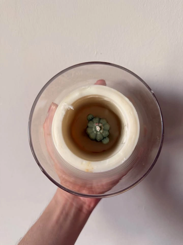 Handmade Candle |🌵Cactus Reveal | Soy Wax | Vegan - photo 3