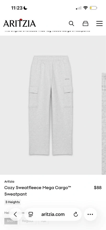 aritzia cargo sweats