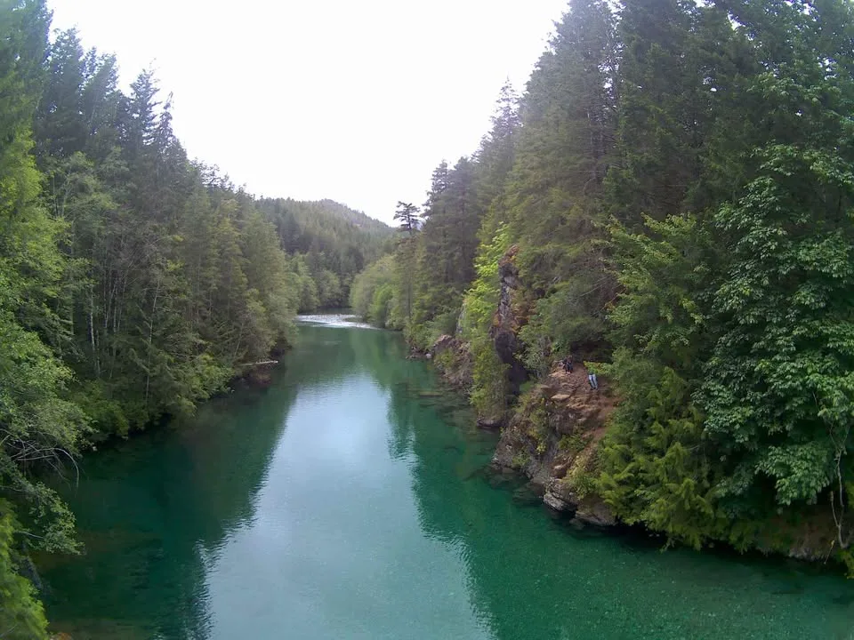 🥕 Beast SG906 Quadcopter drone. trades accepted image indicator(9)