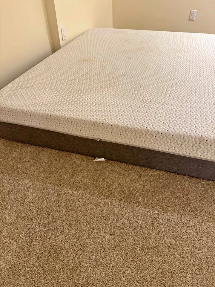 queen mattress endy