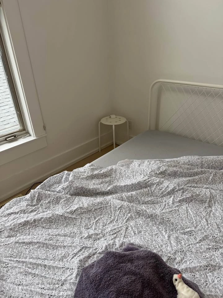 queen bed mattress and frame - photo 3