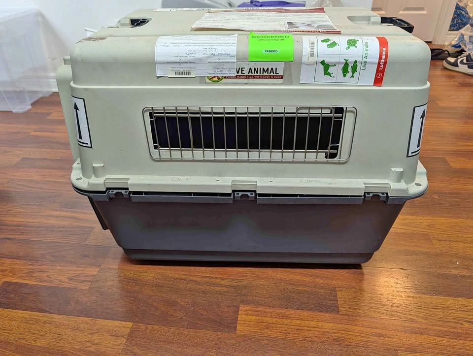 Pet Travel Carrier