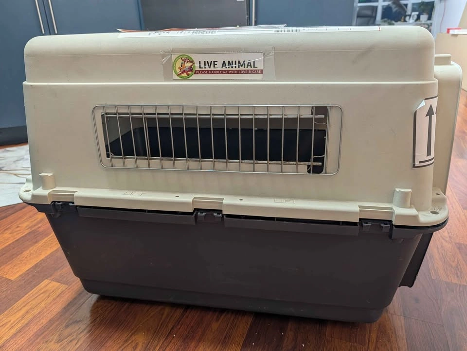 Pet Travel Carrier - photo 3