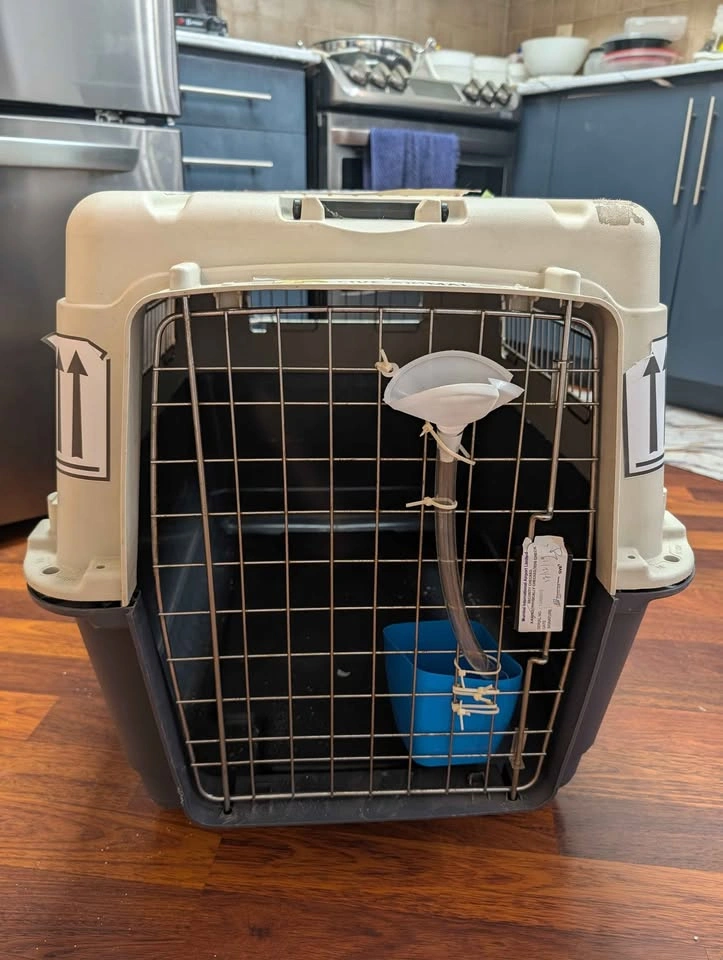 Pet Travel Carrier - photo 4