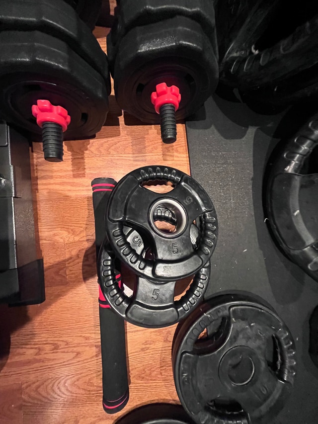 Complete Home Gym Set — Bench, Rack, Bar & Weight Plates - photo 2