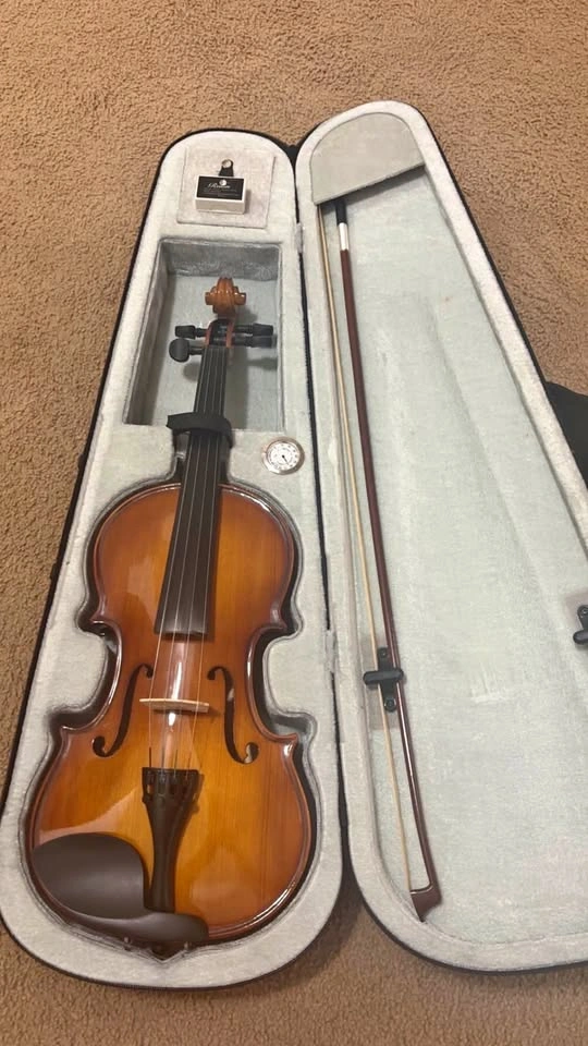 Violin