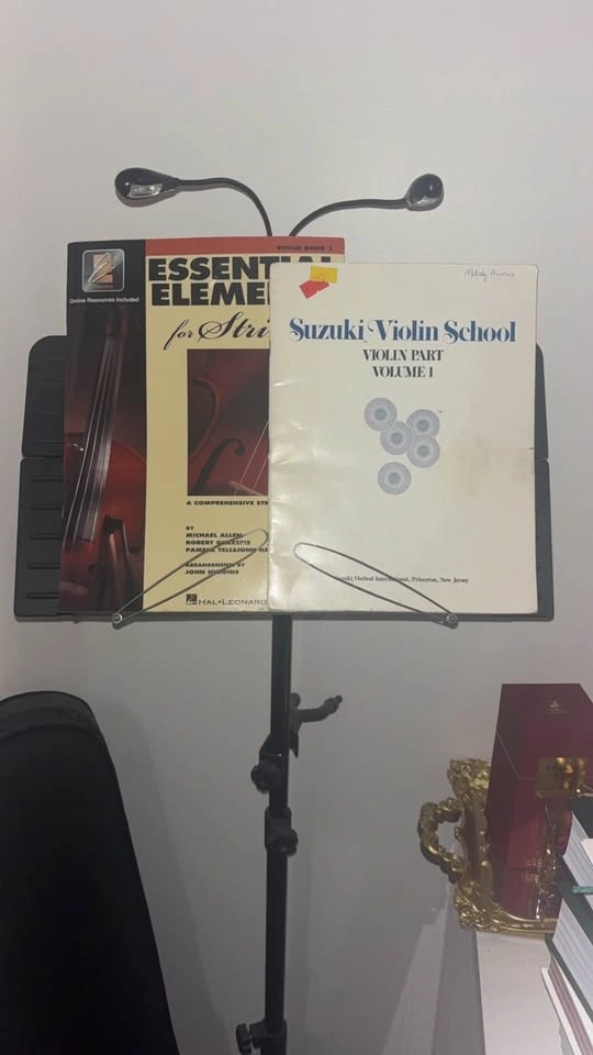 Violin - photo 2