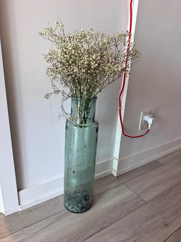 Tall glass vase from home sense