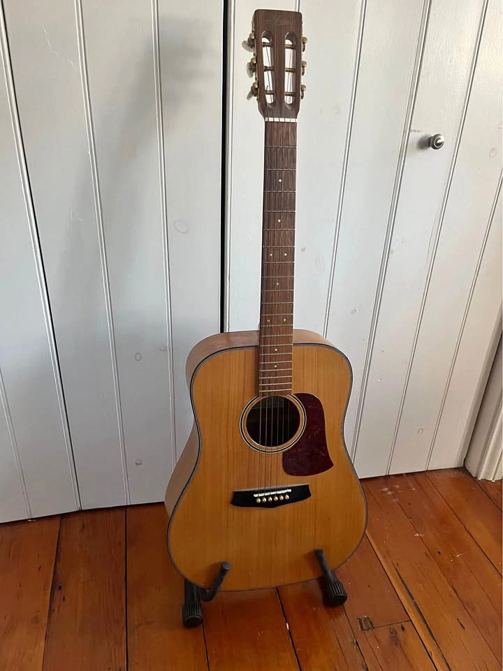 Aria Acoustic Guitar
